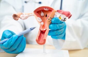 Postmenopause: Symptoms, Causes, Health Risks & How to Stay Healthy Naturally Postmenopause: Symptoms, Causes, Health Risks & How to Stay Healthy Naturally